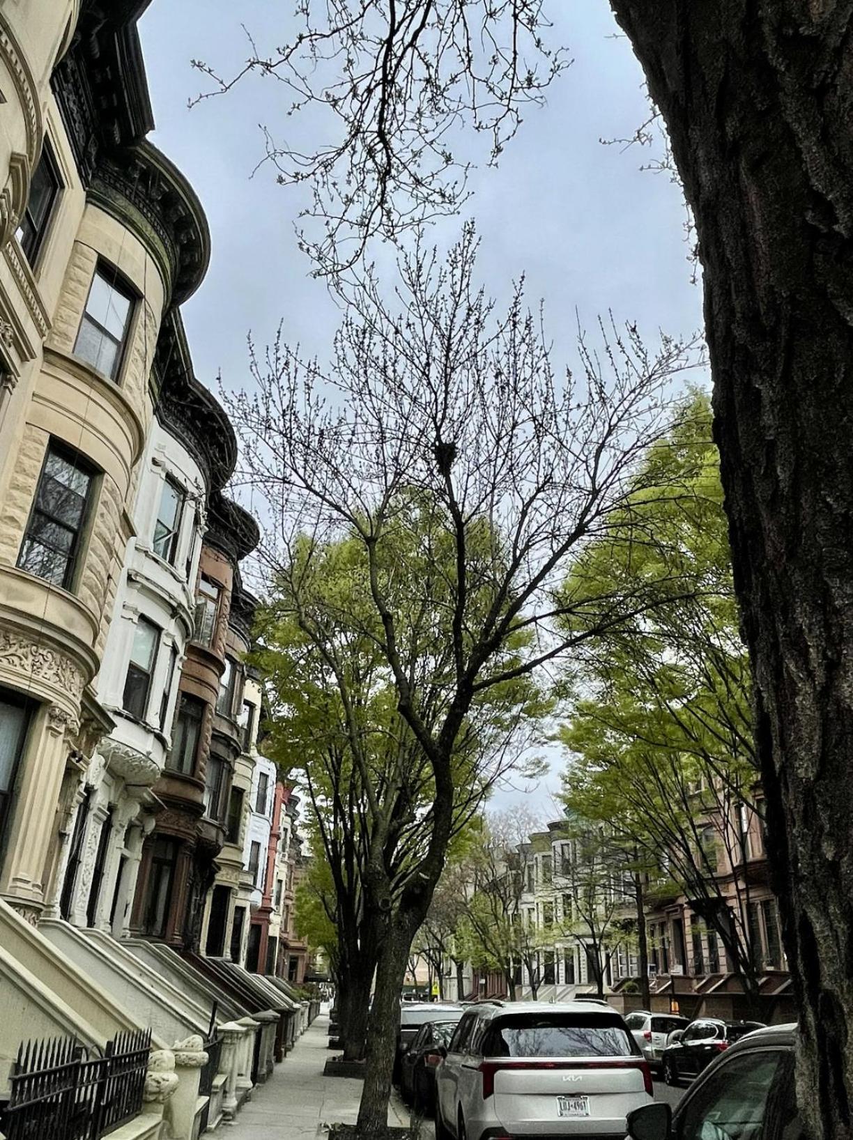Nyc Townhouse Apartment Nowy Jork Zewnętrze zdjęcie