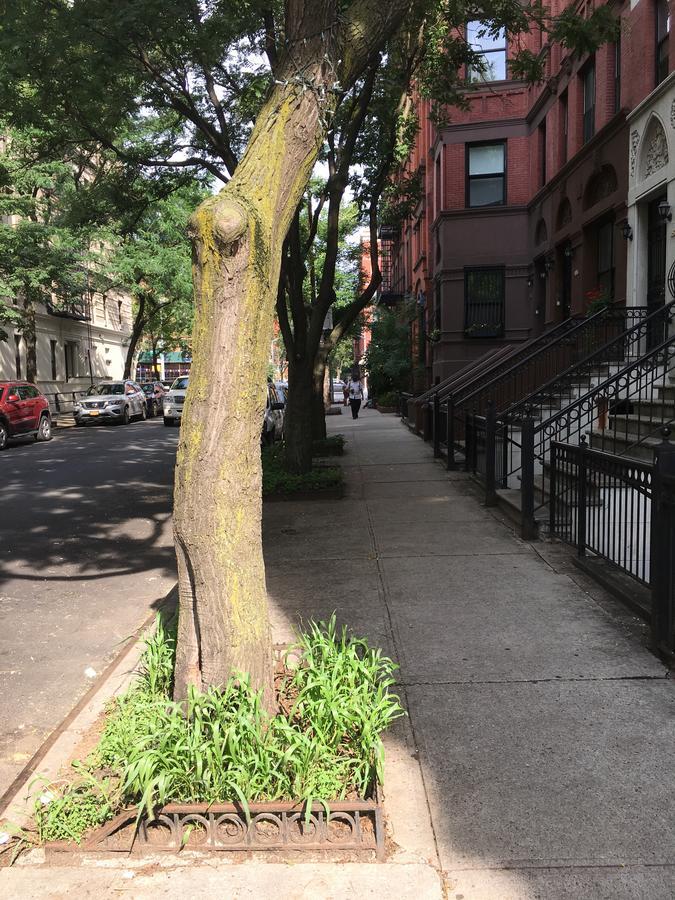 Nyc Townhouse Apartment Nowy Jork Zewnętrze zdjęcie